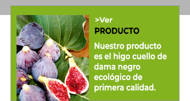 Organic Coll de Dama Fig