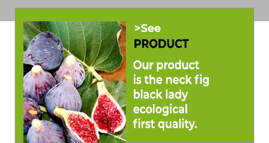 Organic Coll de Dama Fig
